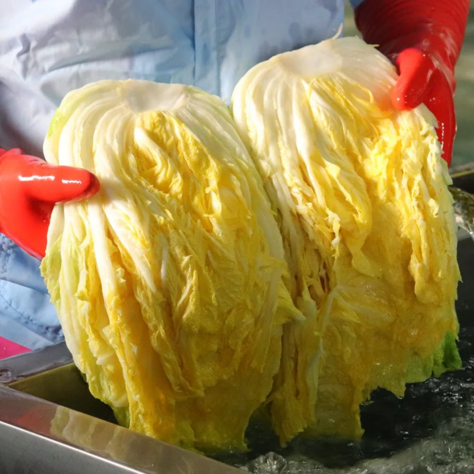 괴산절임배추 명품 고랭지 고냉지 김장 충북 절인배추 20kg