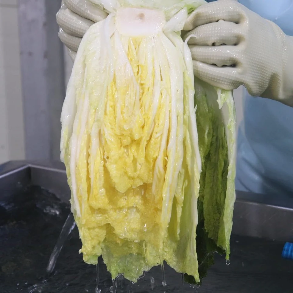 괴산절임배추 명품 고랭지 고냉지 김장 충북 절인배추 20kg