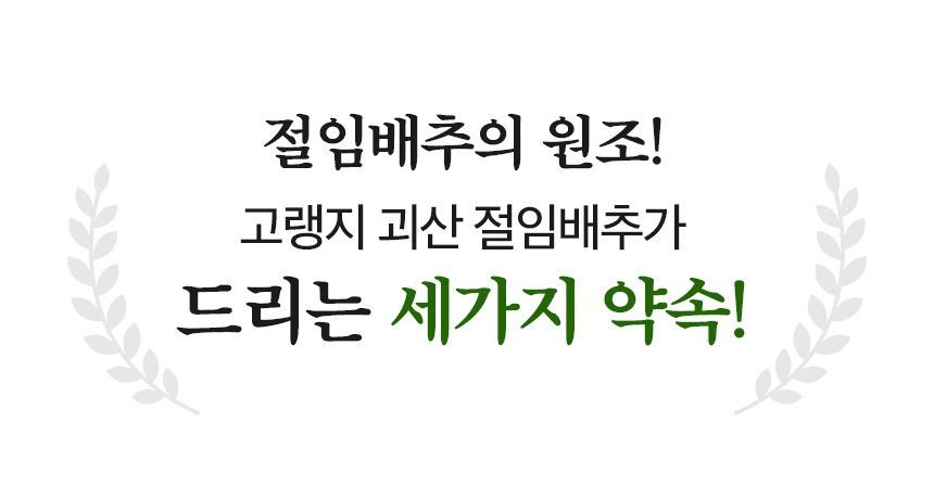 괴산절임배추 명품 고랭지 고냉지 김장 충북 절인배추 20kg
