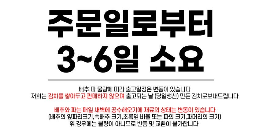 맛있게 매운 대전 선화동 실비 김치 800g, 1개