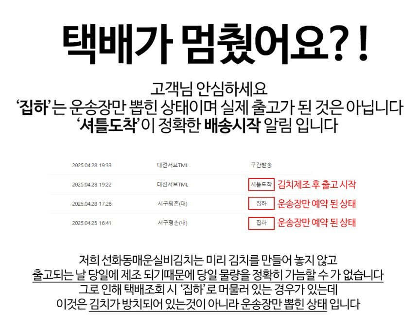 맛있게 매운 대전 선화동 실비 김치 800g, 1개