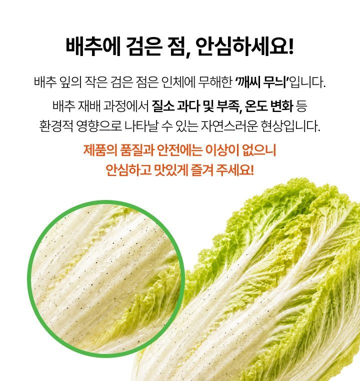 경상도식 김치 안동헌 CJ제일제당 포기김치 (주문 후 생산) 비비고 김치 8kg, 1개